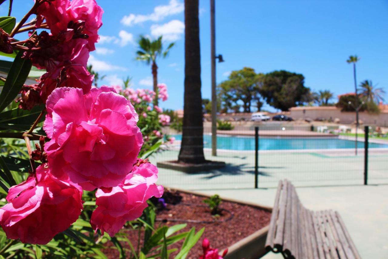 Soleado Apartamento Vistas Al Mar Los Cristianos لوس كريستيانوس المظهر الخارجي الصورة